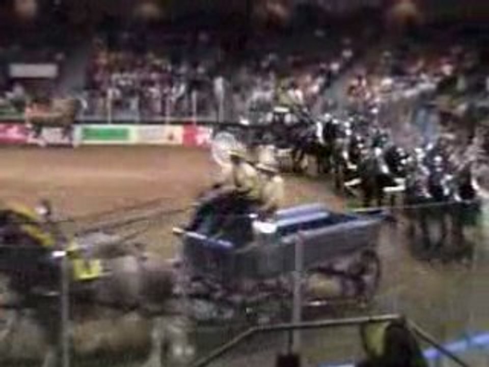 Expo Québec 8 chevaux lourds attelés part.002