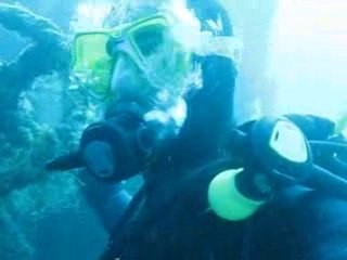 plongée algérie,oran,cap figalo,frégate anglaise(kadda)