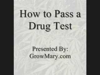 How to Pass a Drug Test