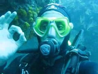 plongée algérie,oran,cap figalo,kadda