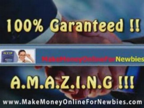 Make Money Online For Newbies (14)