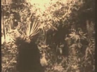 Tarzan of the Apes 1918