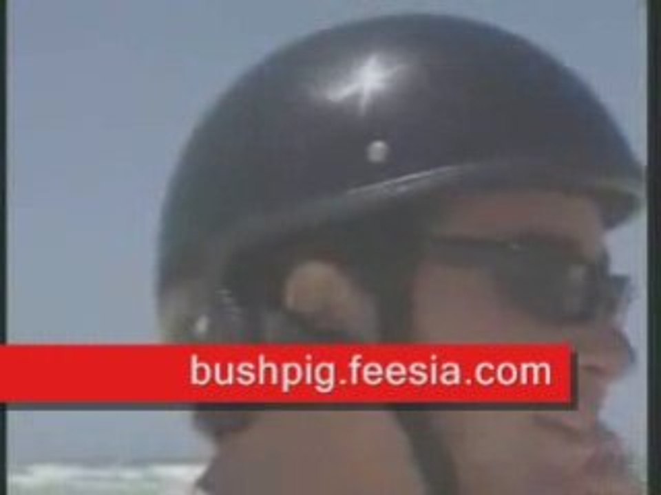 Brand new bushpig wheelman outback for $599 segway