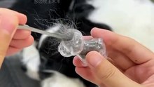 Dog Fur Keepsake Keychain | Adorable Pet Memorial Bag Charm