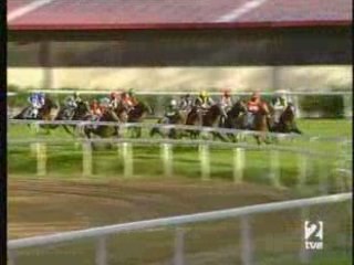 2008 (285) Pr. AYTO. DE LASARTE-ORIA (Cat. C) (D'ARTAGHAN)