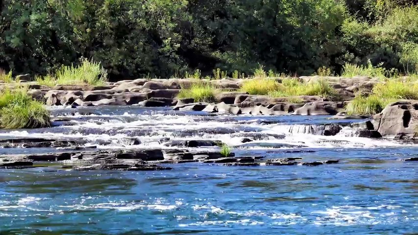 Journée Ensoleillée au Bord du Lac 🌅 _ Musique Relaxante