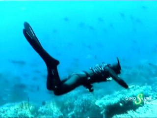 Rêve Égyptien : Beauté de la Mer Rouge en Apnée
