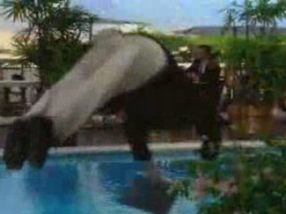 Hong Kong : Mandarin Oriental Hotel Group