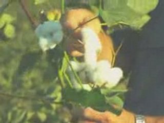 Robert Tuck Discusses Sustainability and Biotechnology