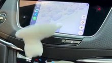 Make Every Drive Happier Bouncy Little Dog Car Decoration