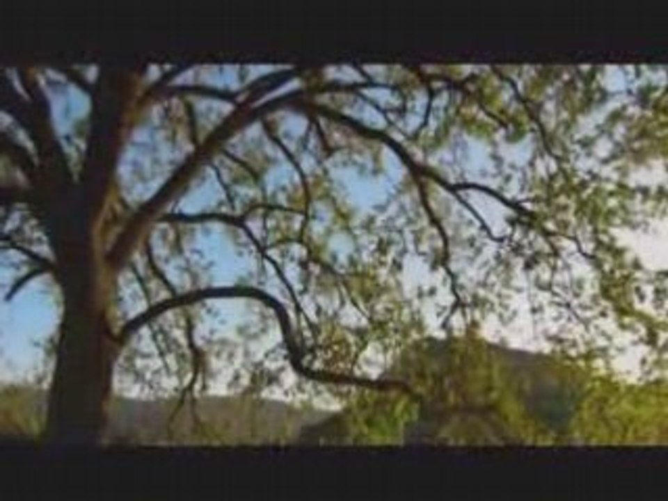 KOTOKO - Glass no Kaze