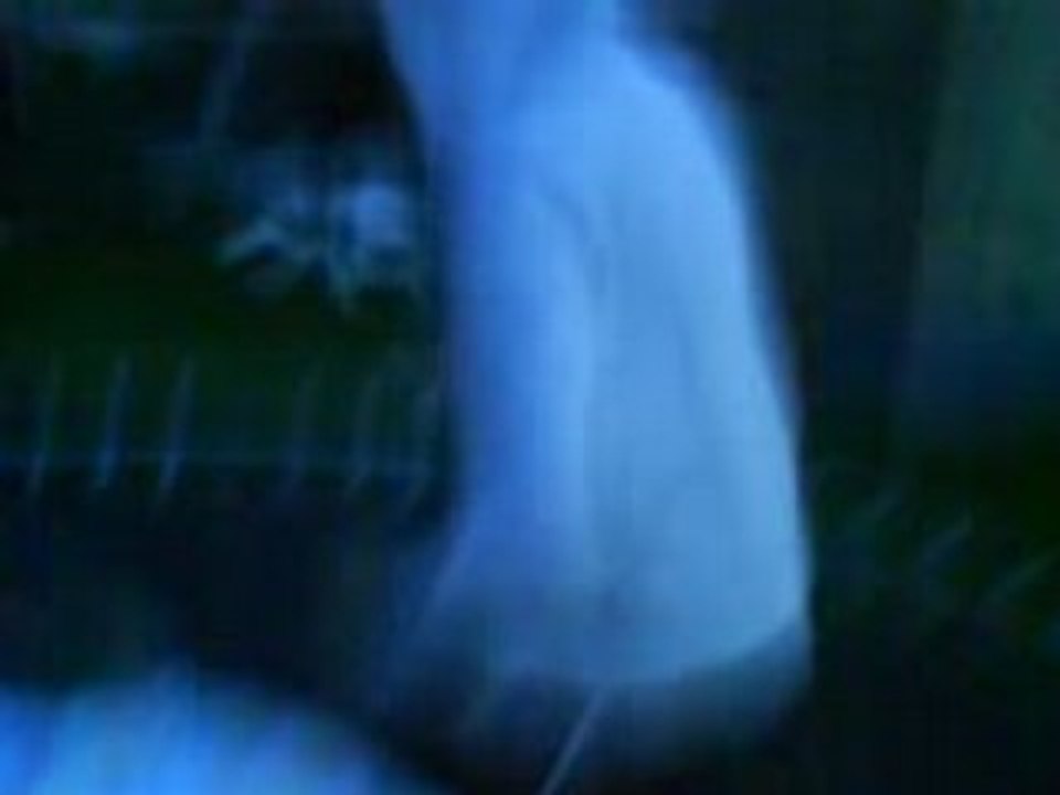 MOV01710