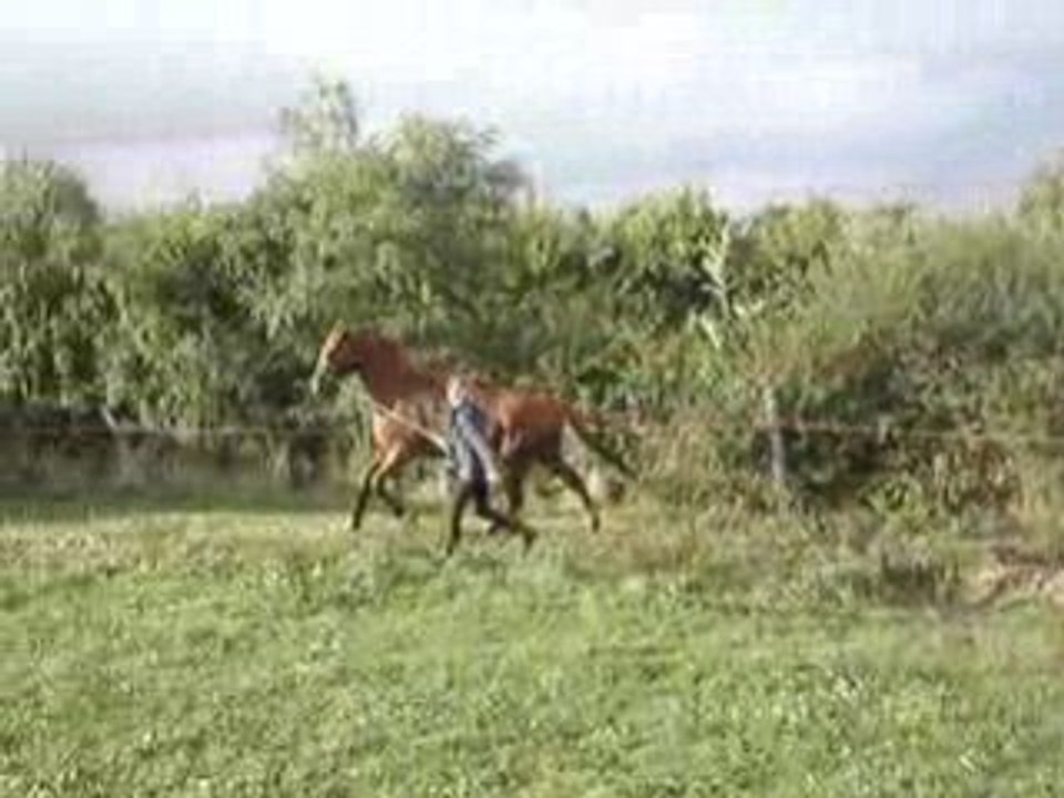 MOV01080