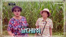 가을철 뇌졸중이 늘어난다?! '만성 염증'의 대폭발 ㅠㅠ