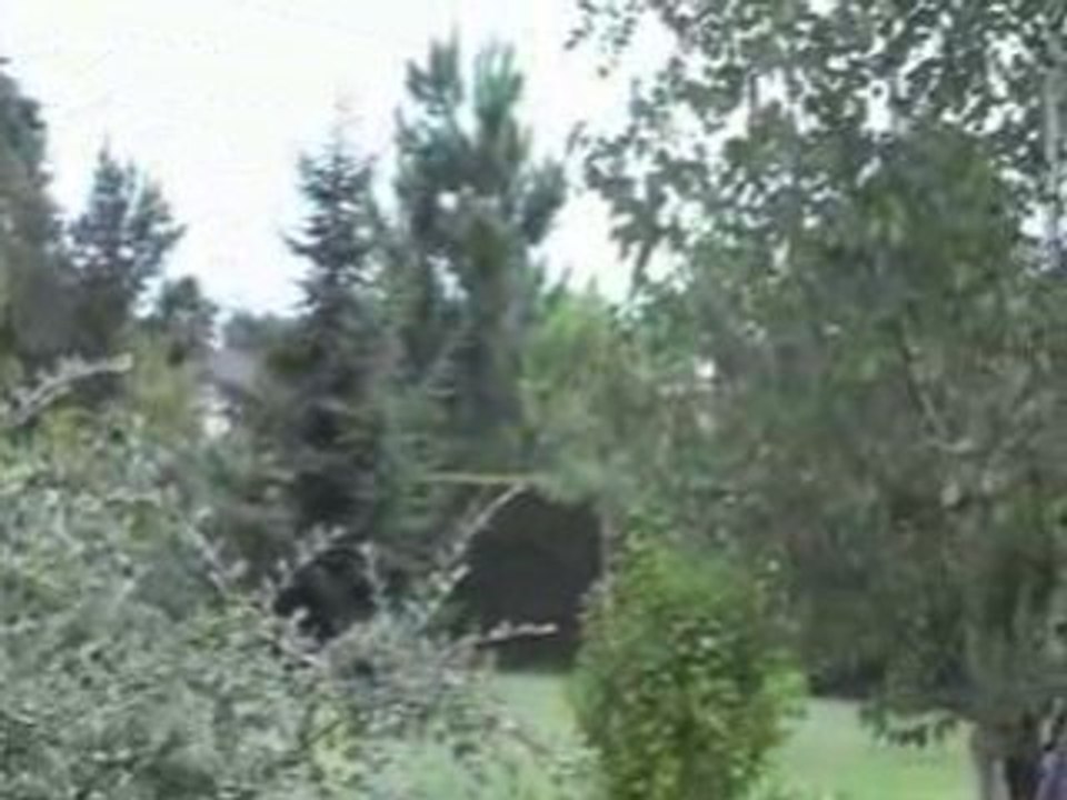 MOV00A