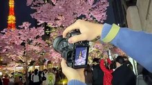 POV： Photos I took in Tokyo I consider to be almost perfect. 📸 #photography #tokyo