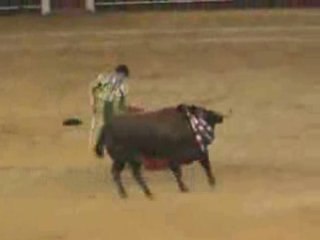 José Tomás en Málaga