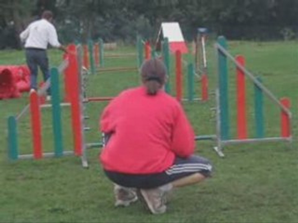 Cours d'agility chien débutant .
