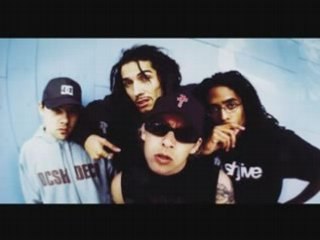 Swollen Members - gRiNd