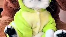 Cute Dinosaur Fleece Coat for Small Dogs & Cats | Cozy Fall/Winter Pet Outfit