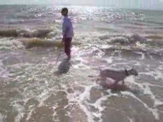 crotte à la mer