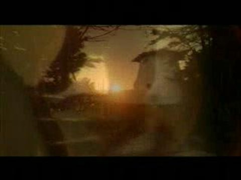 Red Hot Chili Peppers - road trippin