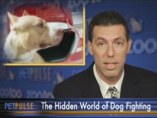Trunking: The Hidden World of Dog Fighting