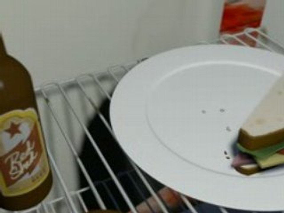 Meet The Sandwich