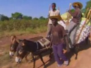 Dr. Per Pinstrup-Andersen on Genetic Engineering