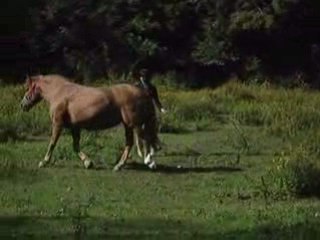 griotte au travail en longe