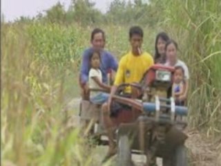Seferino Cosme Discusses the Benefits of Biotech Crops
