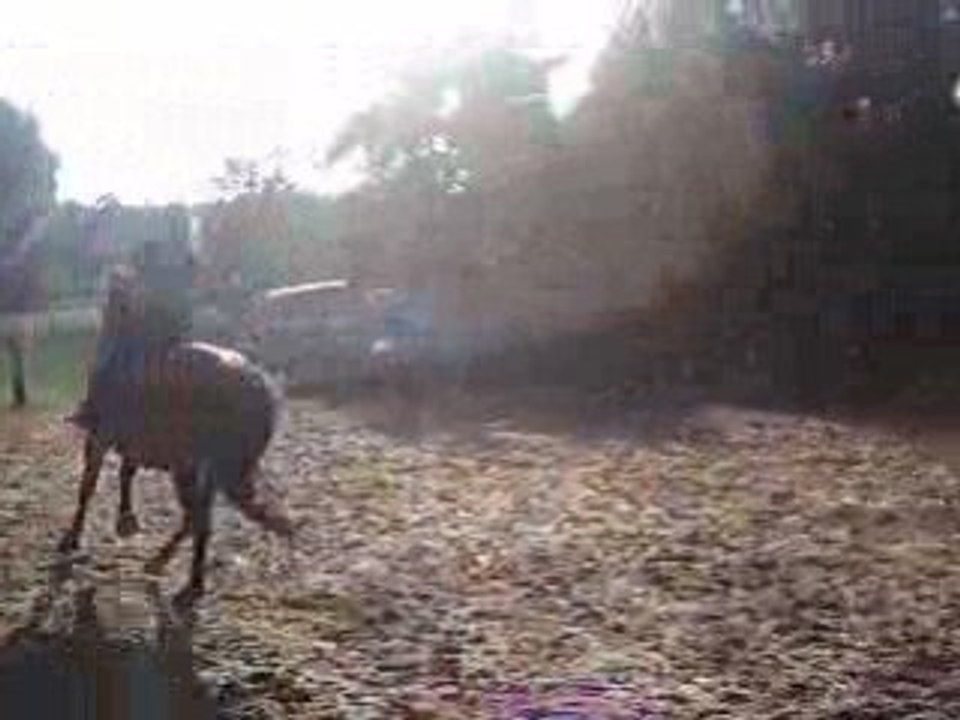 Chevaux 083
