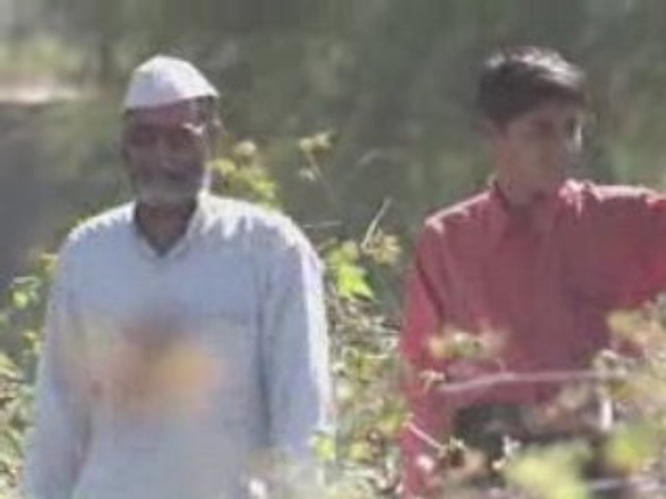 Experts Discuss the Safety of Genetically Modified Foods