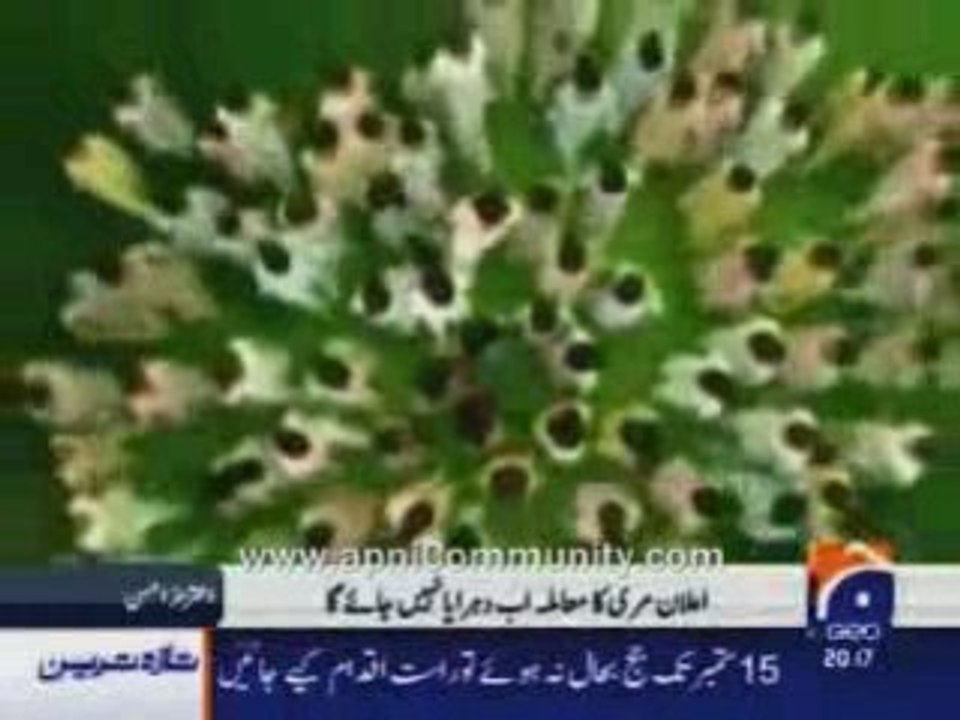Umeed-15Aug1