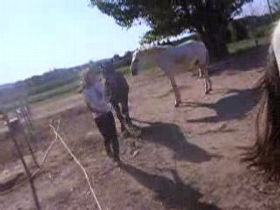 Les dada 046