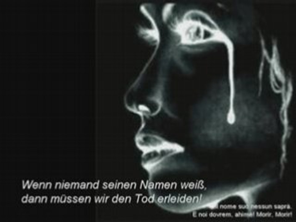 Nessun dorma - paul potts