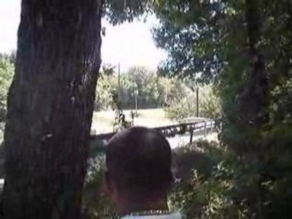 rally de gap 2008 306 maxi  23.08.08