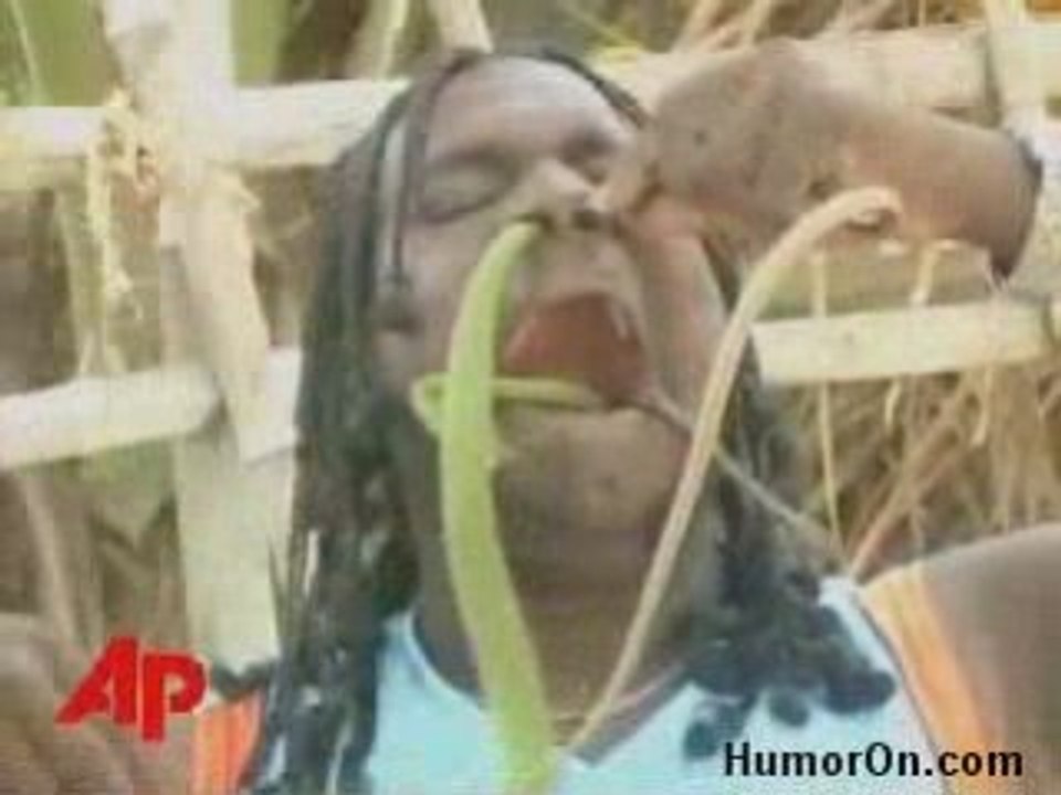 Nez_bouche