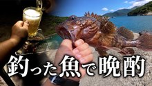 穴釣りで竿がきしむ強引な引き　カサゴを釣って炭火焼きで晩酌