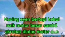 Kucing oyen bertopi koboi naik motor besar sambil akrobat dengan view laut indah