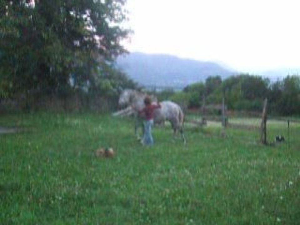 DSCF2366