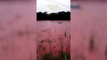 Carro fica quase completamente submerso após fortes chuvas em Capanema