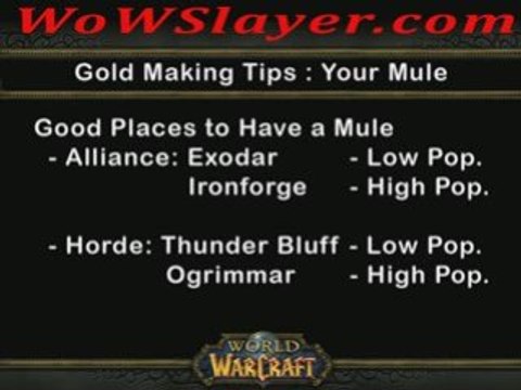 World of Warcraft Gold Making Tips - Using a Mule