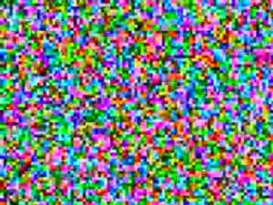 Hoodia Slimming Pills a Buyer Guide to Safe Hoodia