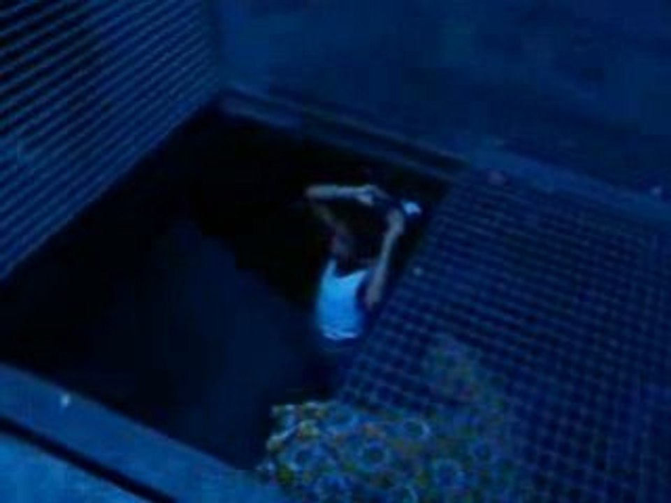 rentre chez toi petit