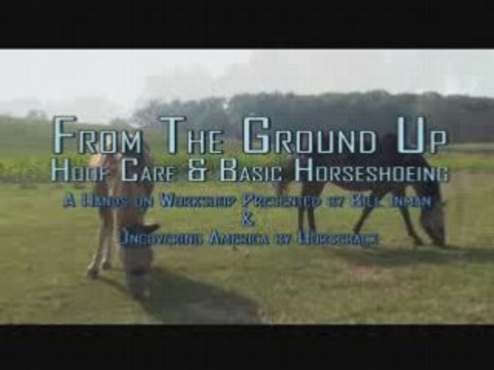 Hoof Care and Basic Horseshoeing Workshop
