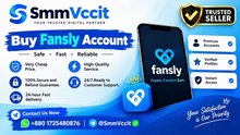 Top 9 Platforms to Buy > Fansly Account With Balance Online