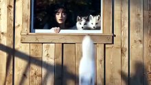 I Gave the Infertile Mafia King Three Fox Cubs, He Became Obsessed | Full Short Drama | English Sub 2026