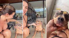 Karol Rosalin mostra antes e depois de banho em sua cachorra e encanta com vídeo