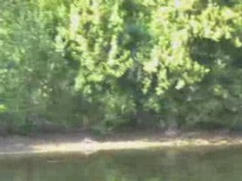 Bergerac 04